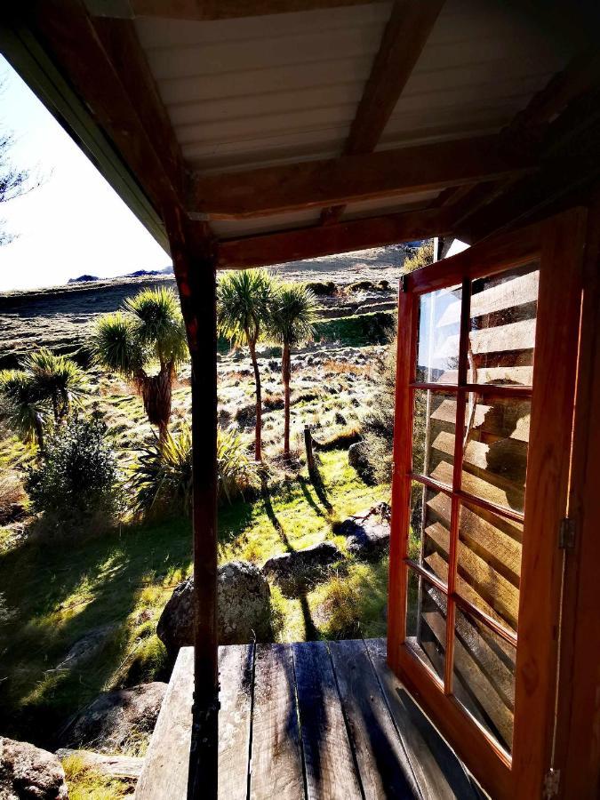 Manaaki Mai, Rustic Retreat Bush Cabin Hotel Christchurch Exterior foto